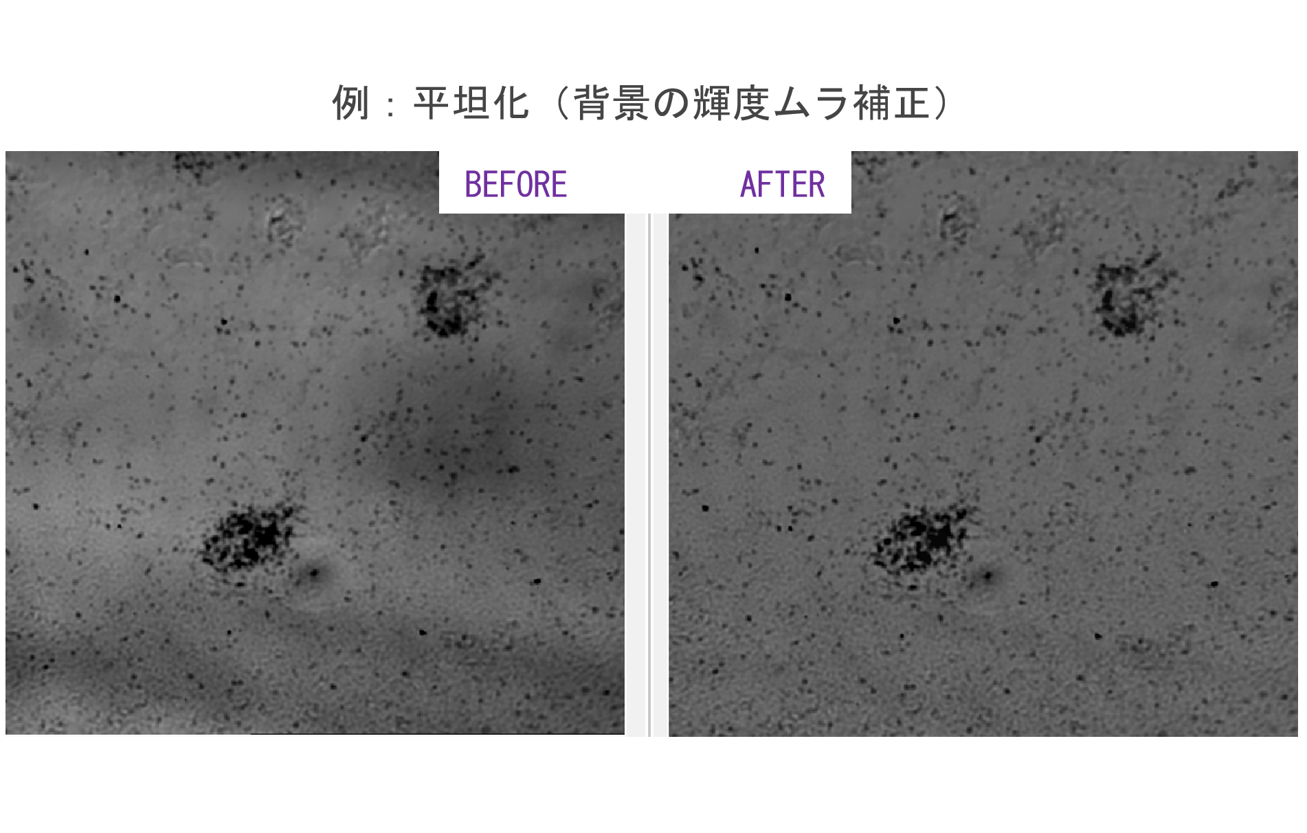 機能アイコン群