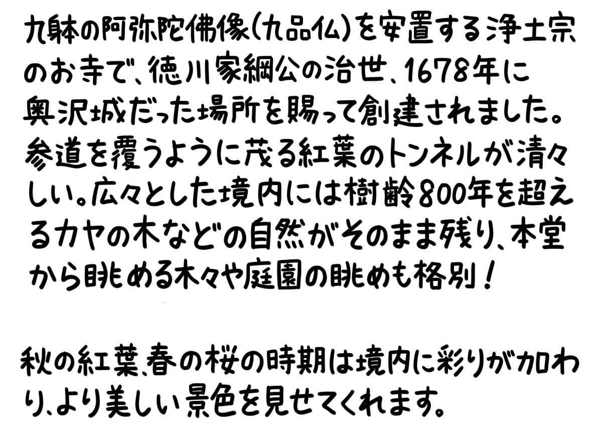 テラサワシュー説明