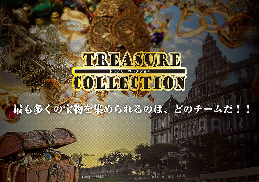 トレジャーコレクションの実施イメージ